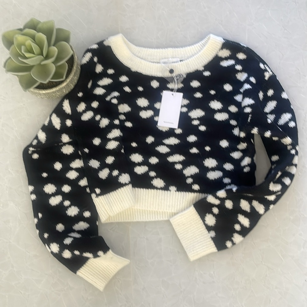 NWT lovers + friends cropped sweater